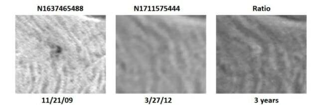 왼쪽 사진에는 검은 점이 보이고, 가운데 사진부터 사라졌다. (출처=DA Patthoff 외)