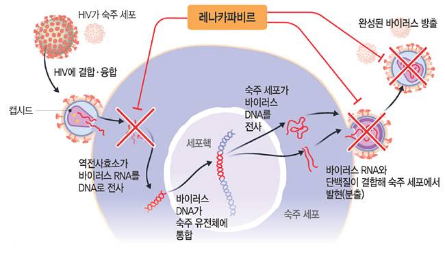그래픽 = 하안송 기자