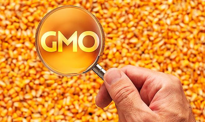 사진=게티이미지뱅크