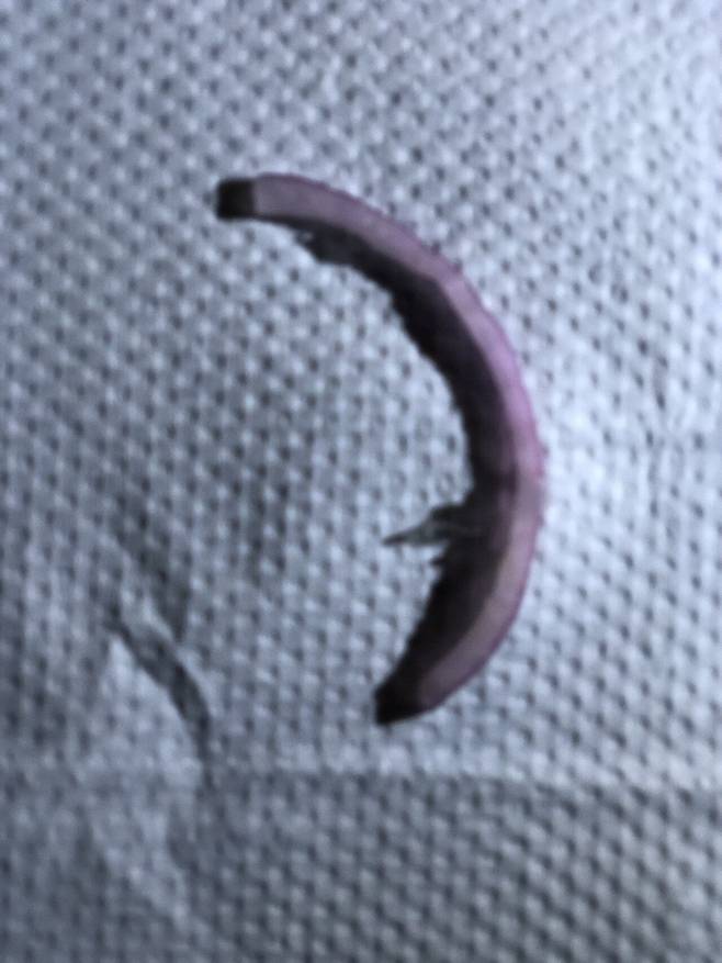 IMG_1398.jpeg 서브웨이 콰트로치즈 스테이크 & 머쉬룸 후기