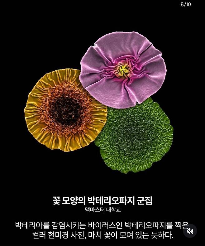 IMG_4551.jpeg 2024 네이처가 선정한 올해의 과학 사진