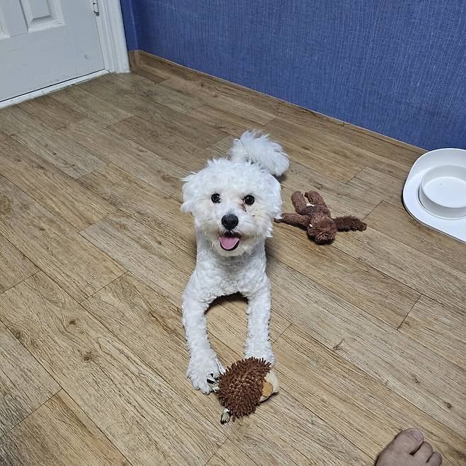 1000023189.jpg 포텐간 대전 입양 노쇼후기