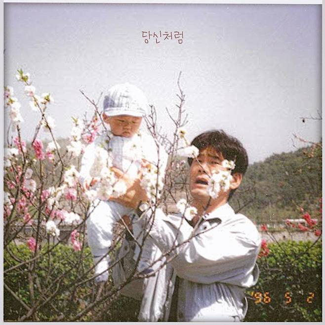 메이저나인 제공