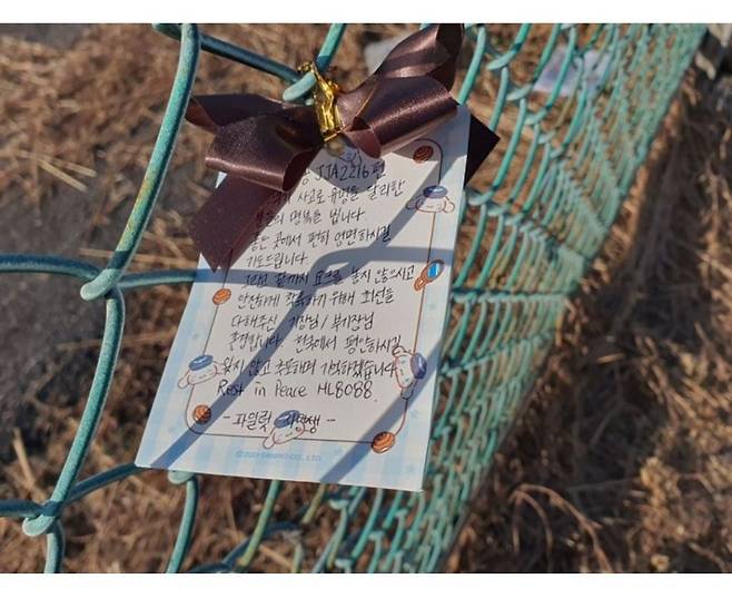 8042db67a376c6c0db807f93d1b9459570e56cbb.jpg 무안국제공항 활주로 현재 상황