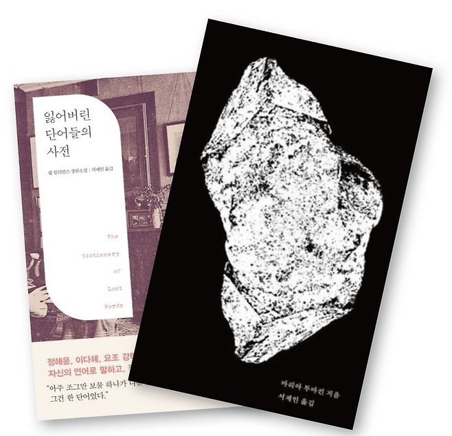 서제인 번역가가 옮긴 <잃어버린 단어들의 사전>과 <고통을 말하지 않는 법>.