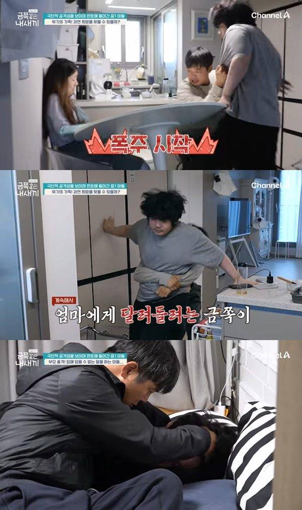 예능 '요즘 육아-금쪽같은 내 새끼' (제공: 채널A)