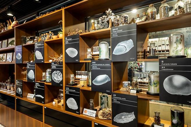 서울식물원의 씨앗도서관. 책처럼 씨앗을 대출해서 재배한 후 수확한 씨앗을 자율적으로 반납하는 프로그램이다 사진제공|서울관광재단