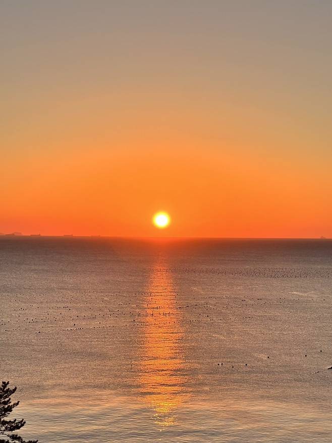 IMG_7328.jpeg 여수 새해 해맞이 여행