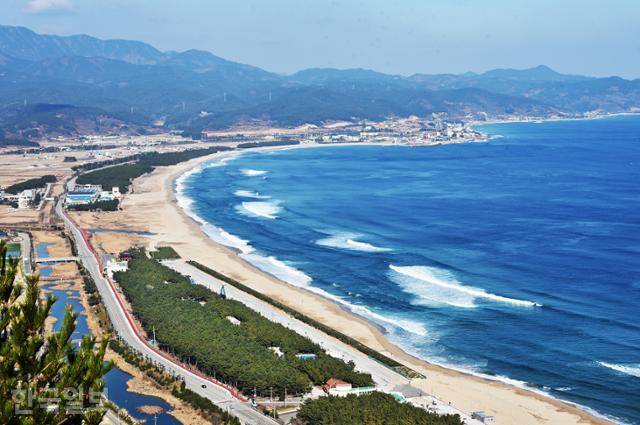 상대산 꼭대기 관어대에서 내려다본 고래불해수욕장. 짙푸른 바다를 자유롭게 헤엄치는 고래를 상상한다.