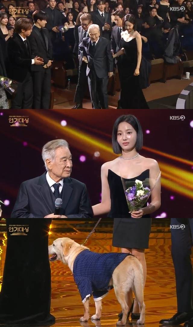 KBS 2TV ‘2024 KBS 연기대상’ 캡처