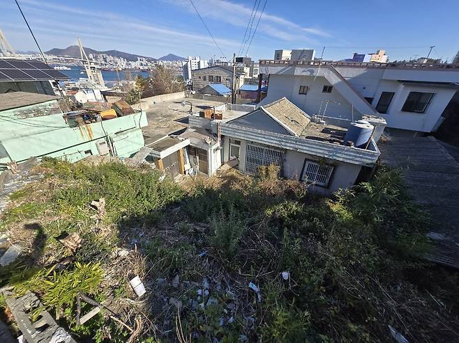 지난달 부산의 빈 집 마당에 잡초가 무성히 자라고 있다./사진=김유진 기자