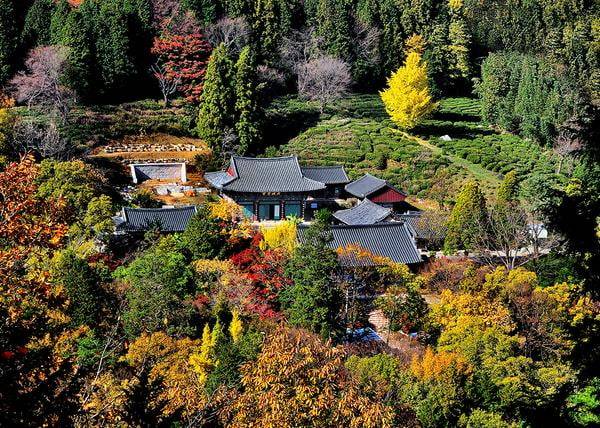 봉명산 다솔사(사진=사천시청)