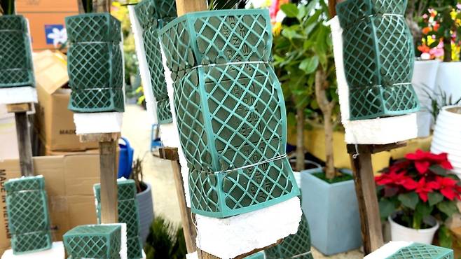 화환에 대한 환경적 우려는 오래 전부터 제기돼 왔다