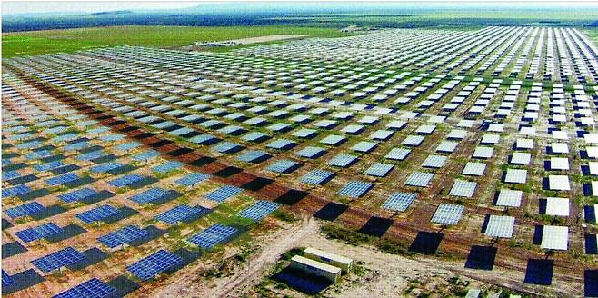 < OCI 모듈로 만든 '텍사스 태양광숲' > 지난달 26일 찾아간 미국 텍사스주 샌안토니오시에 있는 태양광발전단지 '알라모1' 전경. 샌안토니오시에서 처음으로 지은 태양광발전단지다. OCI에너지는 이곳에 18만2000개의 태양광 모듈을 깔아 시간당 39.2MW 규모의 전력을 생산하고 있다. 샌안토니오=오현우 기자