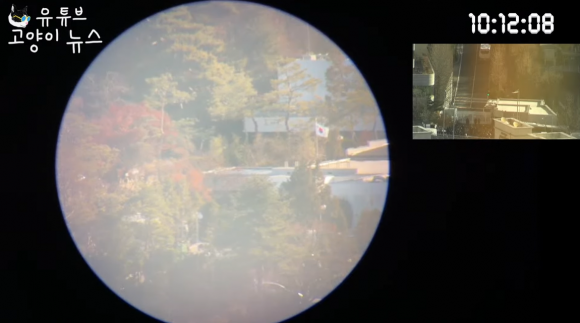 유튜브 채널 '고양이뉴스'가 지난 14일 밤부터 서울 용산구 한남동 대통령 관저 등을 생중계한 영상. 유튜브 채널 '고양이뉴스' 캡처