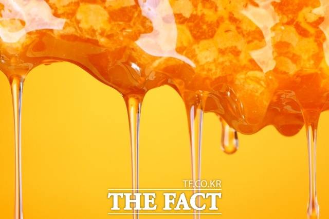 벌꿀은 약 20도 상온에 보관하는 게 가장 좋다. /게티이미지뱅크