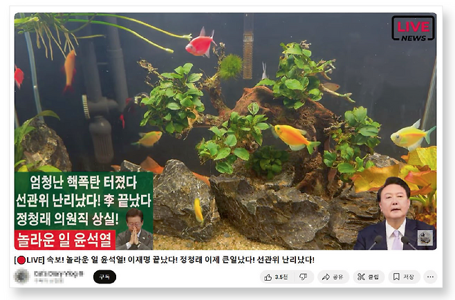 10만명 넘는 구독자를 보유한 한 유튜브 채널의 방송 화면. 실시간 수족관 이미지 배경으로 제목과 별 관련 없는 내용을 송출하고 있었다.