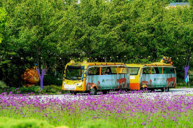 백두대간수목원 전기열차.