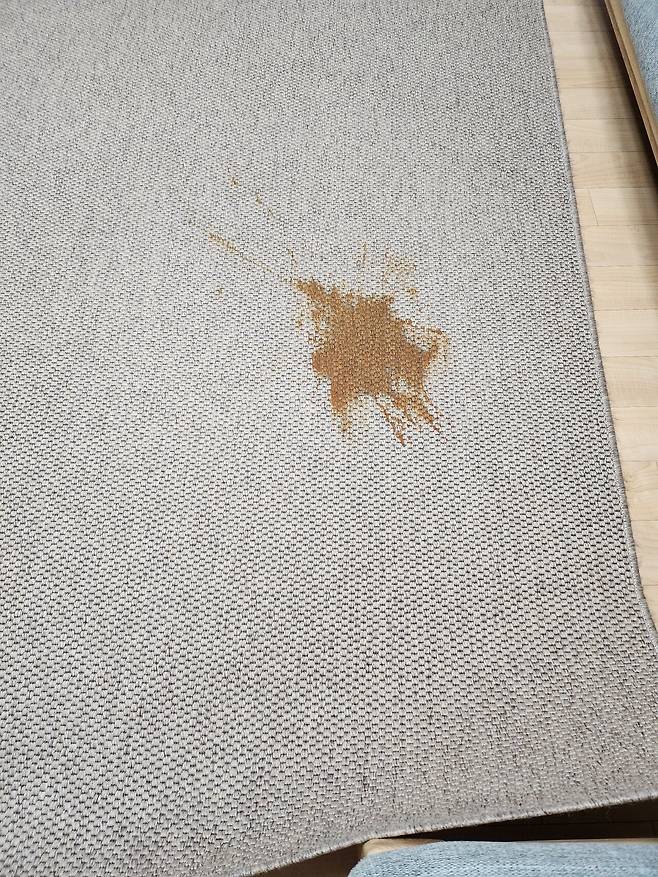 개같이 행복한 신년맞이 액뗌!