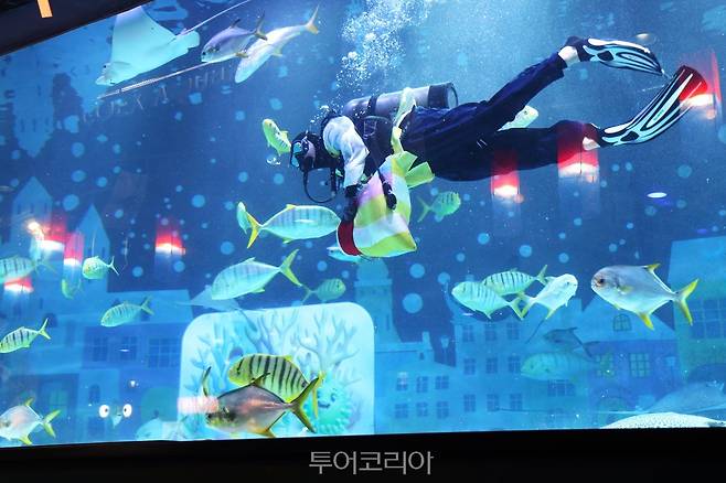 코엑스 아쿠아리움