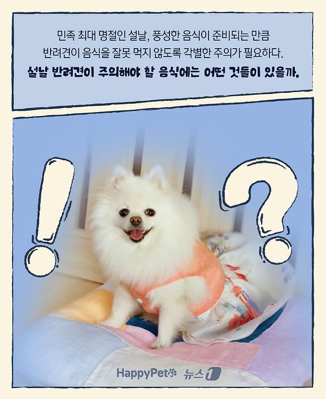 ⓒ News1 윤주희 디자이너