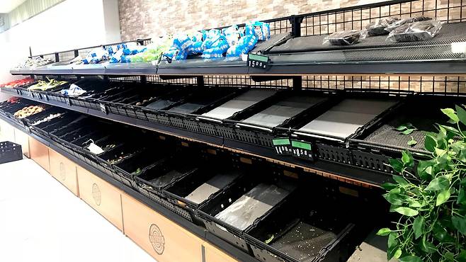 우한에 도시 봉쇄령이 내려진 2020년 초기, 사재기 열풍이 불며 상점 진열대가 텅 비곤 했다