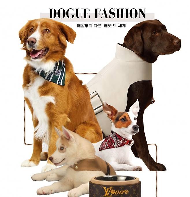 (1) 남성용 타이를 재해석한 루이비통 도그 반다나 MM. (상단 왼쪽)
(2) 폴리아미드 소재의 에르메스 반려견 레인코트. (상단 오른쪽)
(3) 모노그램 캔버스 소재로 만든 루이비통 도그 볼. (하단)
(4) 반려견 목걸이 위에 착용할 수 있는 에르메스 반다나. 에르메스·루이비통 홈페이지 캡처 (가운데 오른쪽)