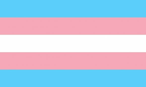 트랜스젠더를 상징하는 깃발. 위키피디아