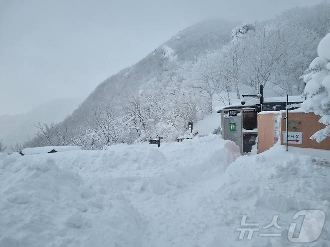 31일 전북 무주군 덕유산 삿갓재 대피소에는 26일부터 내린 눈으로 109cm가량의 눈이 쌓였다.(국립공원관리공단제공)2025.1.31/뉴스1 ⓒ News1 김동규 기자