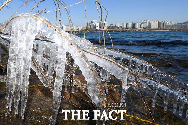 전국 대부분 지역에 한파특보가 내려진 4일 오후 서울 영등포구 여의도한강공원 일대에 고드름이 맺혀있다. /장윤석 기자