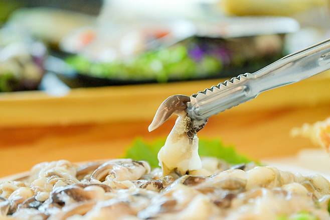 충남 홍성 남당항 명물인 새조개. 홍성군 제공