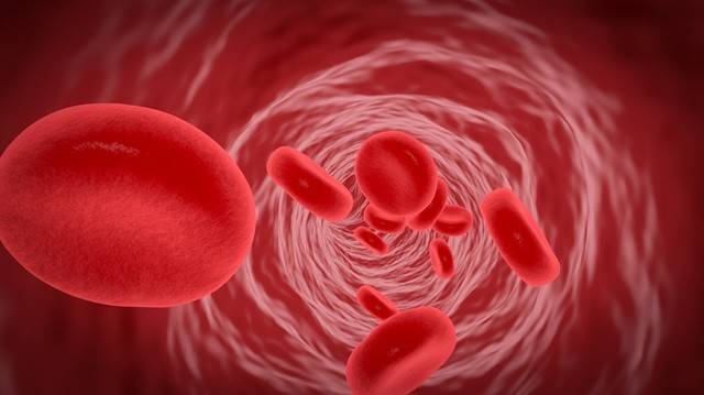 철분은 헤모글로빈 생성, 세포 활동 등을 돕는다|출처: 게티이미지뱅크