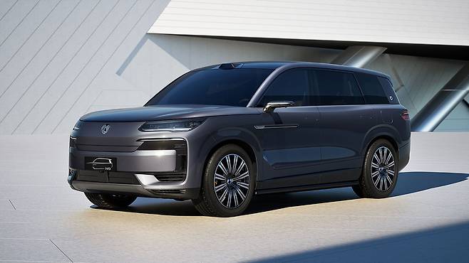 BYD 덴자 N9