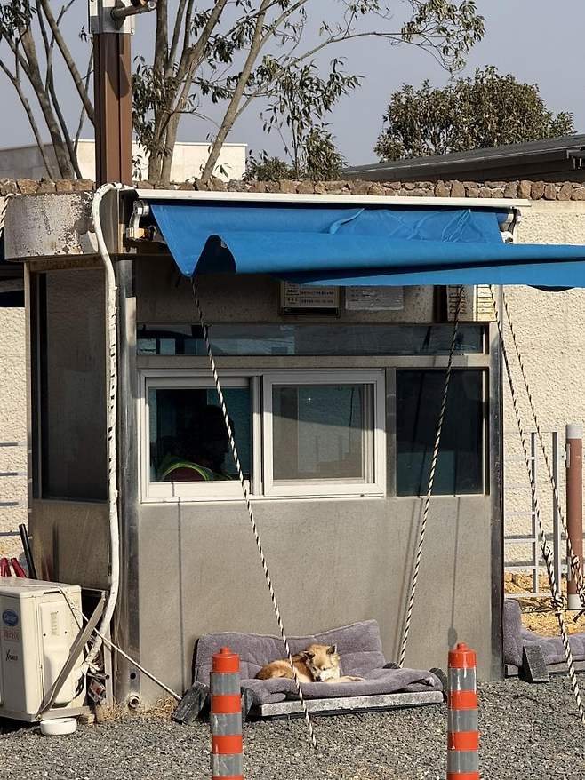 0490f719b4866bf320b5c6b236ef203e572619fdcd6f260ccb