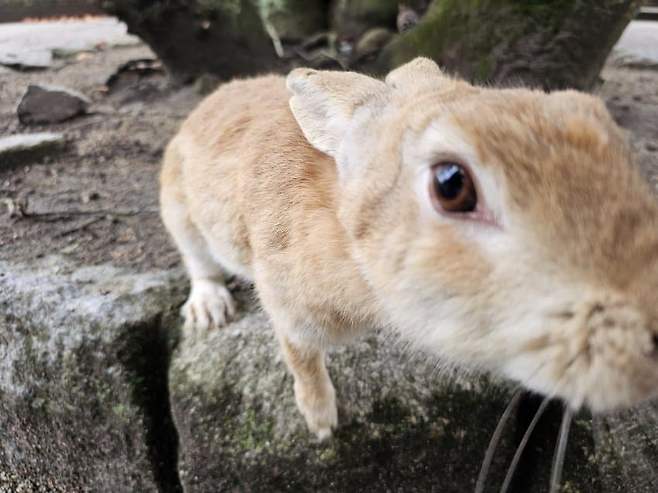 7fed8273b58068f451ee84e6458177738c9dbc808139706a6ad5183e5135971b