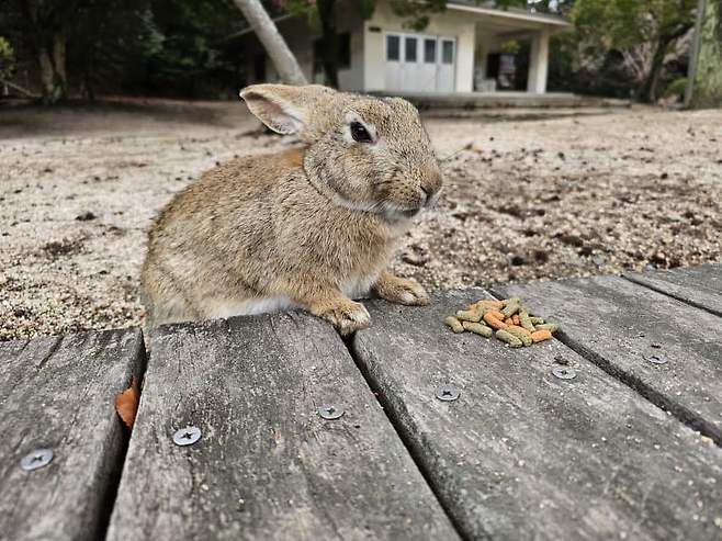 7fed8273b58068f451ee85e44e857773c60cf1bb64cd34e2b638d274fff041d5