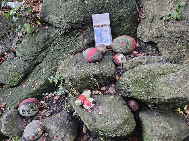 7fed8273b58068f451ee81e74283767355dbcba56051743f5c92022fa04f1274