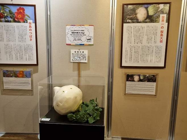 7cee8968efc23f8650bbd58b36827369bbeb57b6