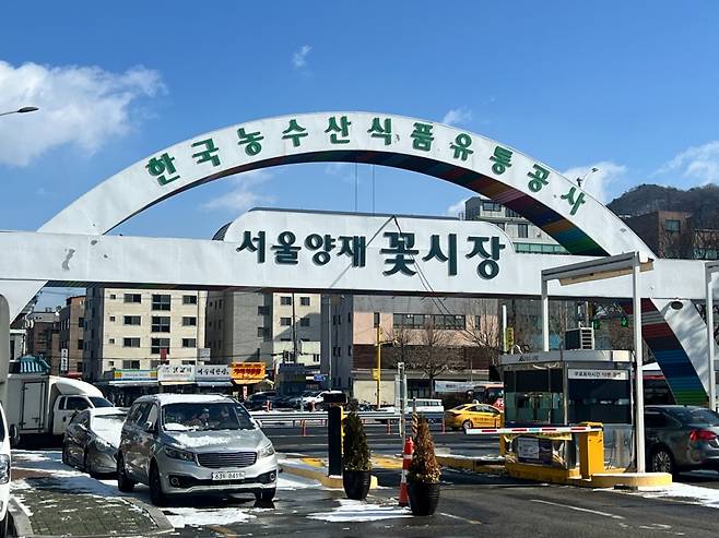 7일 오전 서울 서초구 양재동 서울양재꽃시장 입구./사진=민수정 기자.