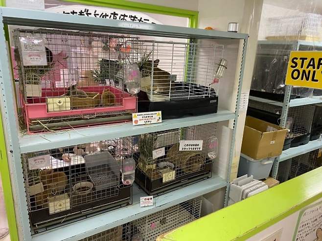 0eeaf400b4f4618323edf0e4379c706c4ba5554ce5767431c7cfd933ece872222f0bf94be4bcc9e40f05542109128c34ae5c317d