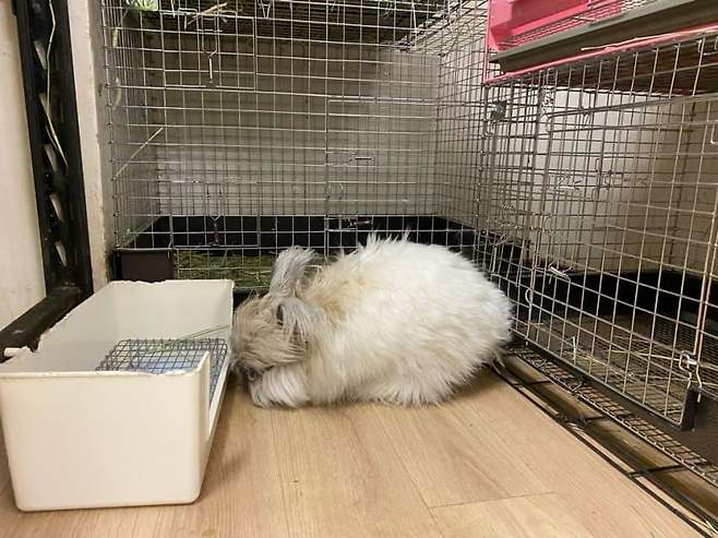 74edf273b4f160f1239a85e04e9c7064f472d7e9b7ff50e3ca916bbb2bcffedcc342d998a01280627d764c39e3886b2033305b00