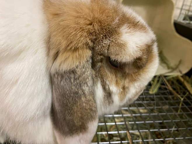 0b98847eb5f76ff323e786e04e9c706954de20ee401db3d64f3dfee2582c94bd0ff8936eba6027aa2bc1d6c10f4c7be55dfaefee