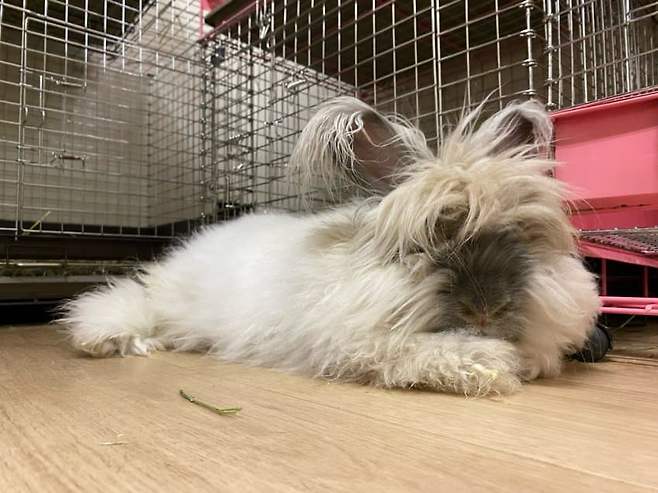 7a988974bc8a1af623ebf7e0379c70697be4063608b6f2d1e0fd0b71d6fa6764b4b9fc863dfd0841061fb9348054837ca3ad933c