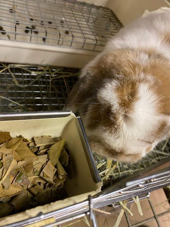 0cef847fb68a1bf6239a86e1429c701c967cafee0d1c1ad3a7866e6f2406427075f1f0202c568deb31f127c86546aed603b7bc1f