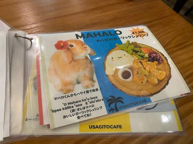 0feb8370b1f61e82239af2e1349c706bf064f1e4fc48b323c580c86439f6ee4d842a72fcc8c4df204348a5203e00a31eeaa607309b