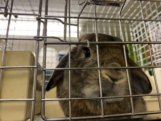 7cec8505b5836af623e9f393409c70188a842748594954b2d8e28a6eaedb8798e8896a2902381850080e4986557a361a391ba1cd