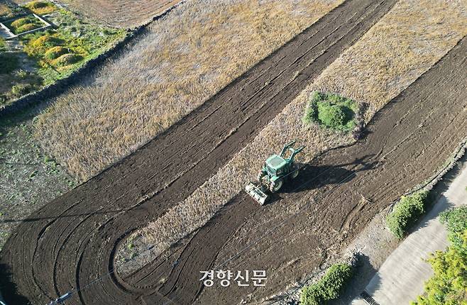 한 농민이 지난해 12월3일 서귀포시 대정읍의 한 콩밭에서 트랙터로 밭을 갈아엎고 있다. 권도현 기자