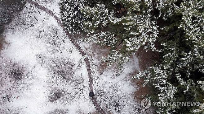 눈 내린 창원 (창원=연합뉴스) 김동민 기자 = 경남지역 일부 시군에 대설주의보가 발효된 12일 오전 경남 창원시 성산구 용지호수공원 산책로에 눈이 쌓여있다.
창원지역은 오전 8시 20분 기준 눈이 그치고 비가 내리기 시작했다. 2025.2.12 image@yna.co.kr