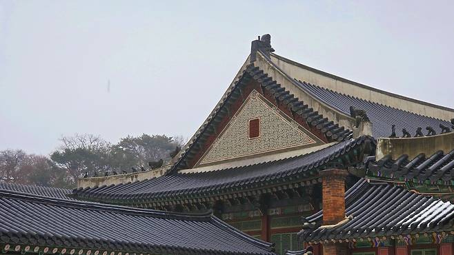 나홀로 서울 여행 2 : 창경궁&창덕궁