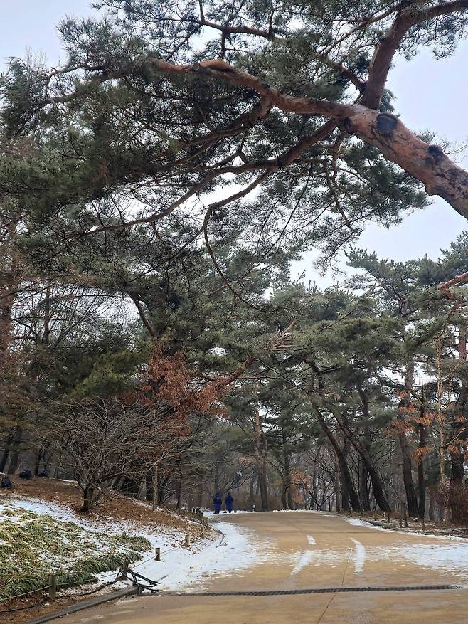 나홀로 서울 여행 2 : 창경궁&창덕궁